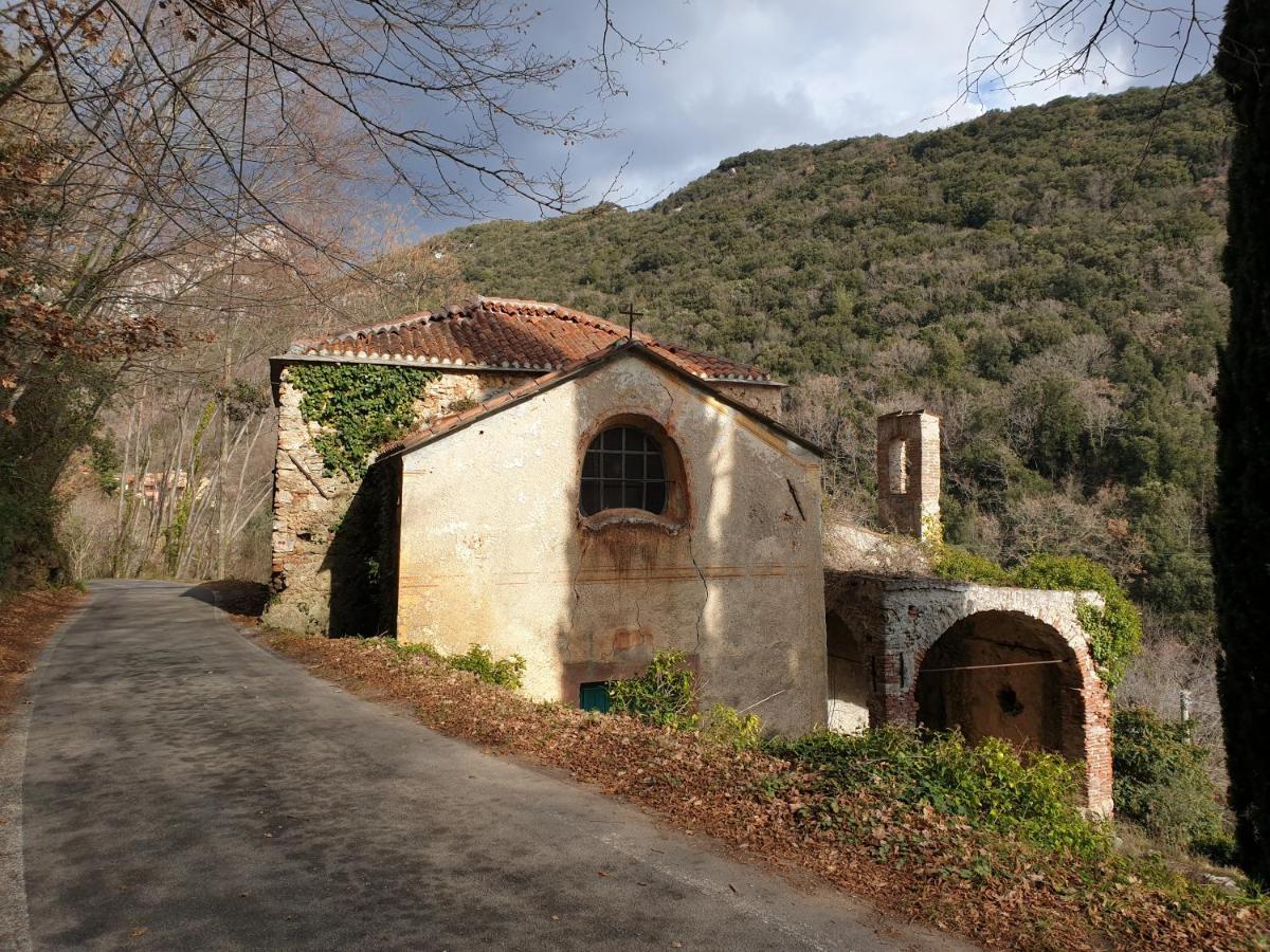 Agriturismo Alveare フィナーレ・リーグレ エクステリア 写真