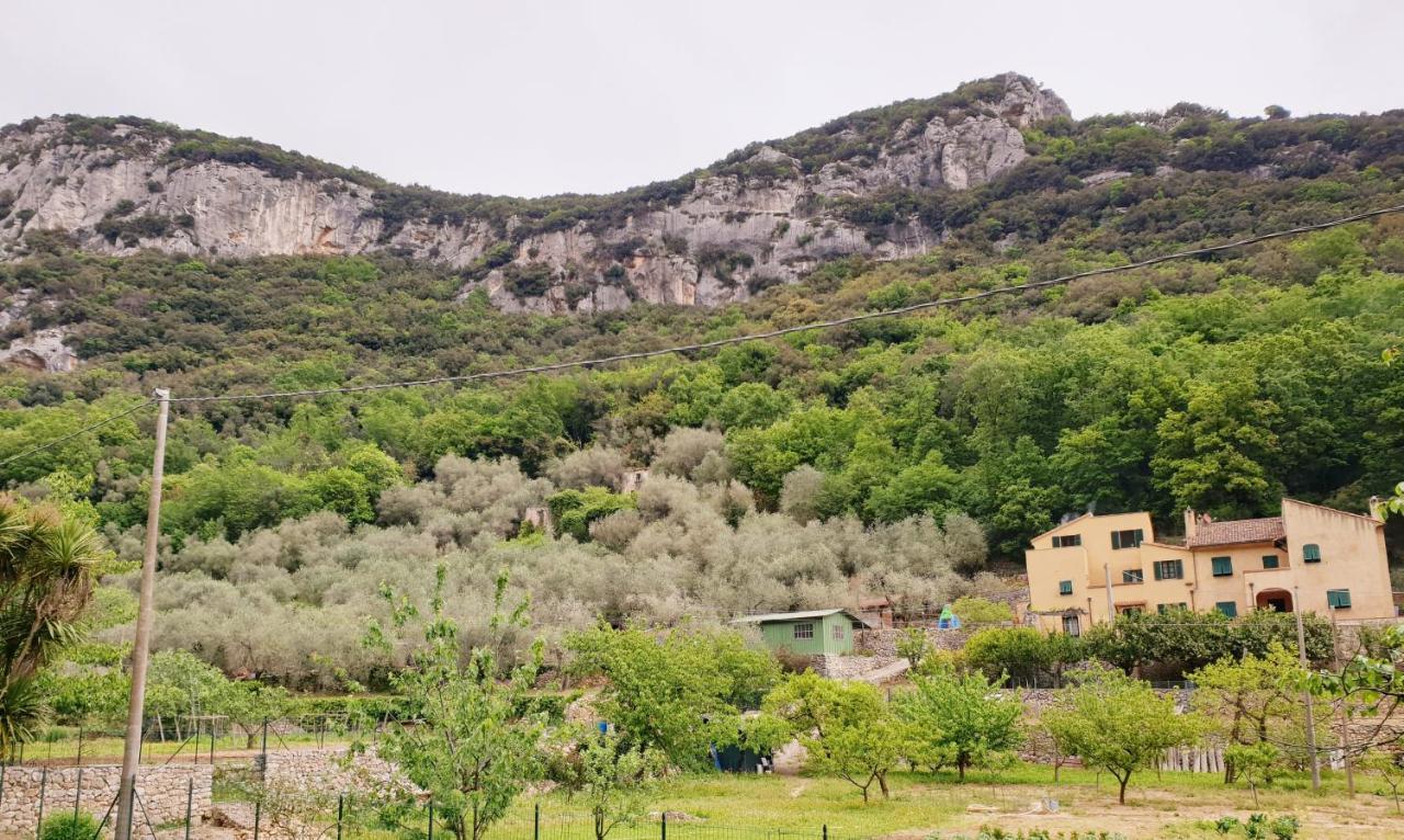 Agriturismo Alveare フィナーレ・リーグレ エクステリア 写真