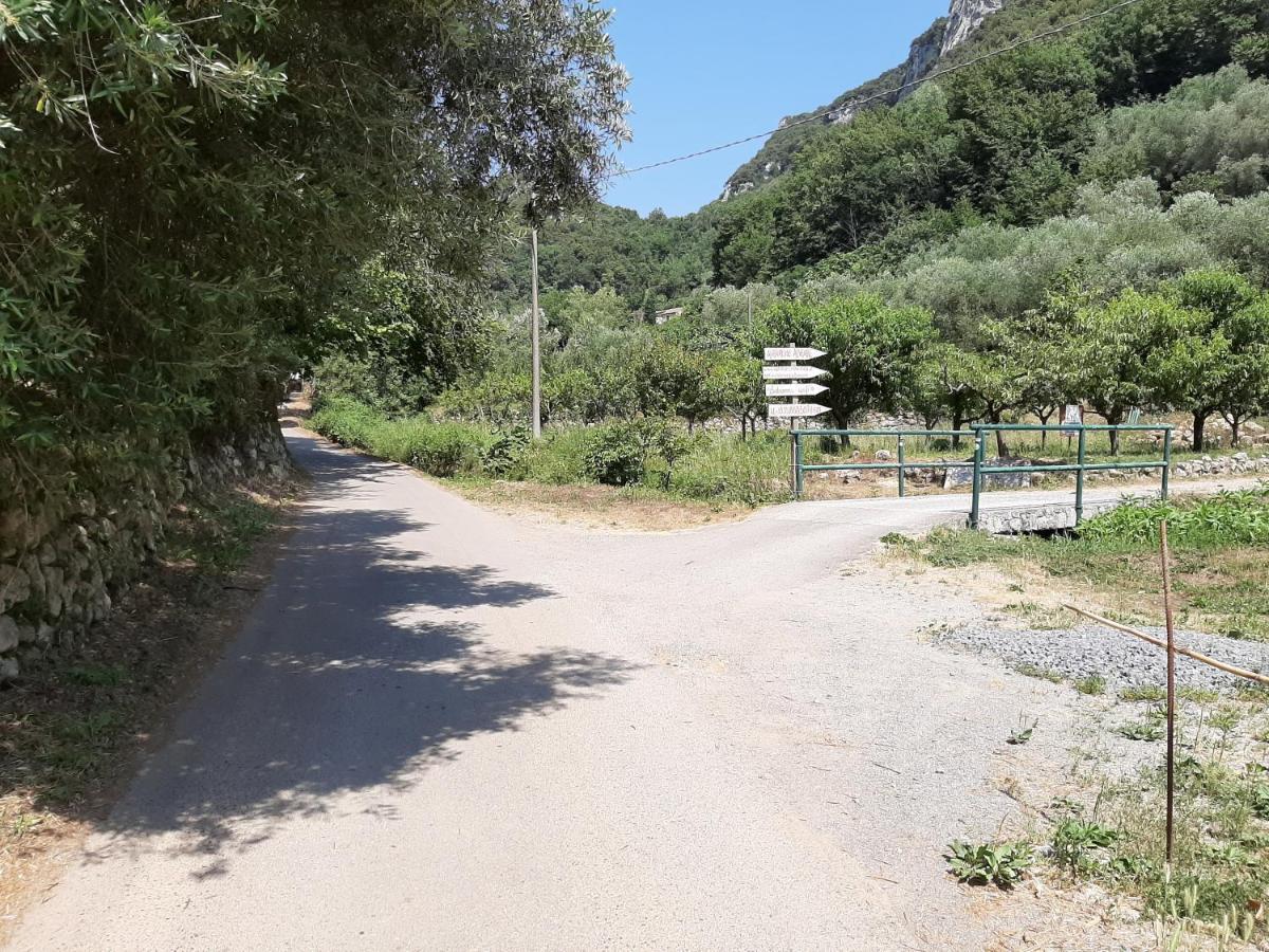 Agriturismo Alveare フィナーレ・リーグレ エクステリア 写真