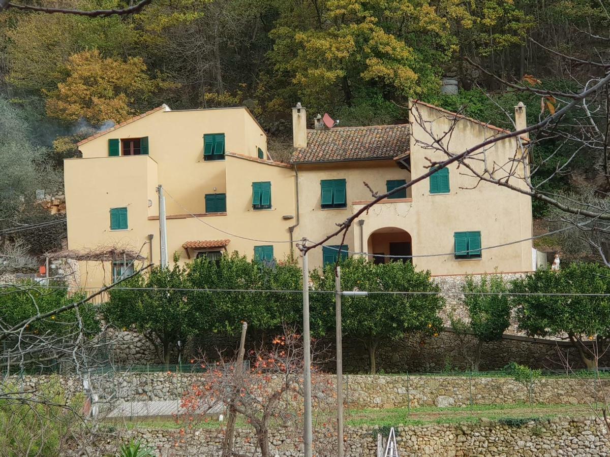 Agriturismo Alveare フィナーレ・リーグレ エクステリア 写真